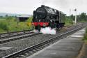 Scots Guardsman