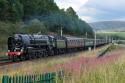 Cathedrals Express
