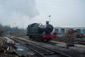 Ribble Steam Gala