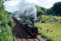Scots Guardsman