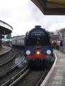 Duke Of Gloucester