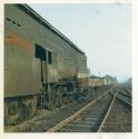 West Hartlepool May 1967