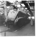 Bittern In York Roundhouse May 1967