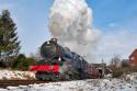 Royalty At The Gcr