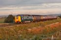55022 The Devonian