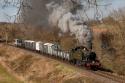 Gwr Goods Train Charter