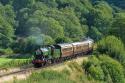 Svr Seaside Specials