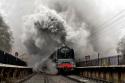 Duke Of Gloucester On Cvr