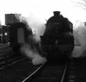 GCR Winter Gala