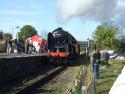 Black Prince At Quorn