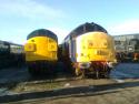 Two 37"...crewe