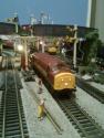 My New Bachmann Class 37 Ews....