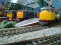 Lima Class 31"s Side By Side.......