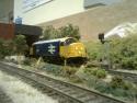 Bachmann Large Logo....