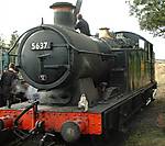 5637 taking water from the column in Cranmore Yard, ESR