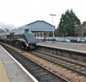 Bittern Arrives At Salisbury