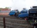 Barrow Hill 14/4/12