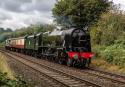 46100 Royal Scot