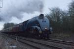 60007 'Sir Nigel Gresley'