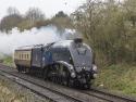 60007 Sir Niget Gresley