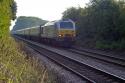 67029 'Royal Diamond'