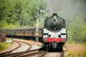 75029 Nearing Levisham On The Nymr