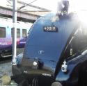 A4 Bittern (White Rose) Arrives At York Station