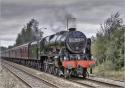 46115 At St. Helens
