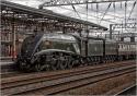 60019 Arriving At Crewe