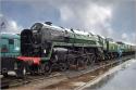 Britannia At Crewe