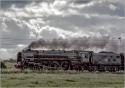 The Duke On The Cumbrian Coast Special.