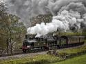 Steam Along The Dee