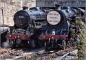 In The Headshunt At Llangollen.