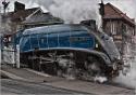 Sir Nigel On The Nymr