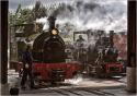 Steam On Shed