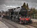 The Roses Express At Parbold