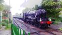 Watercress Line