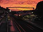 'Petone Dawn'