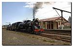 'Ja1271 poses at Paekakariki'