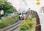 N.Z steam