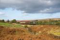 Nymr D5061