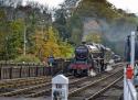 Nymr 45212