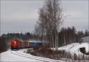 Container Train