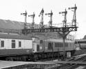 46010