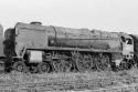 34101