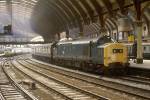 37206 at York.