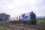 Mallard on the Scarborough Spa Express