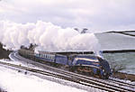 Sir Nigel in the snow