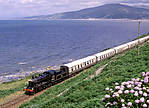 46443 on the Cambrian