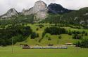 Simmental Shuttle